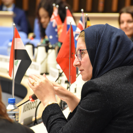 A delegate at the annual meeting for the WHO Programme for International Drug Monitoring in Geneva, 2018